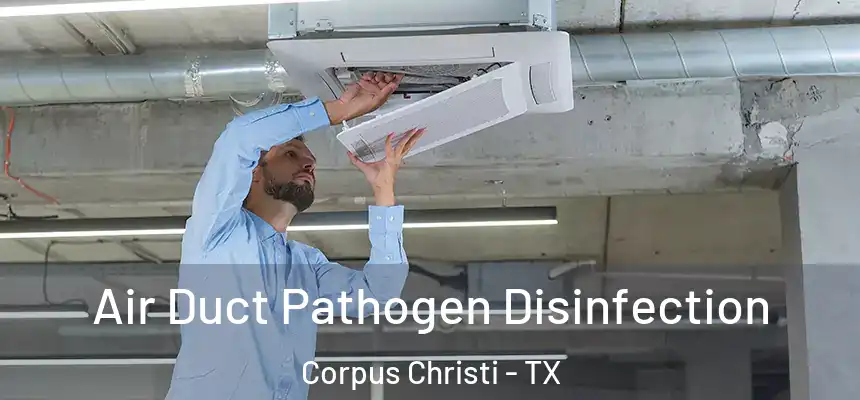 Air Duct Pathogen Disinfection Corpus Christi - TX