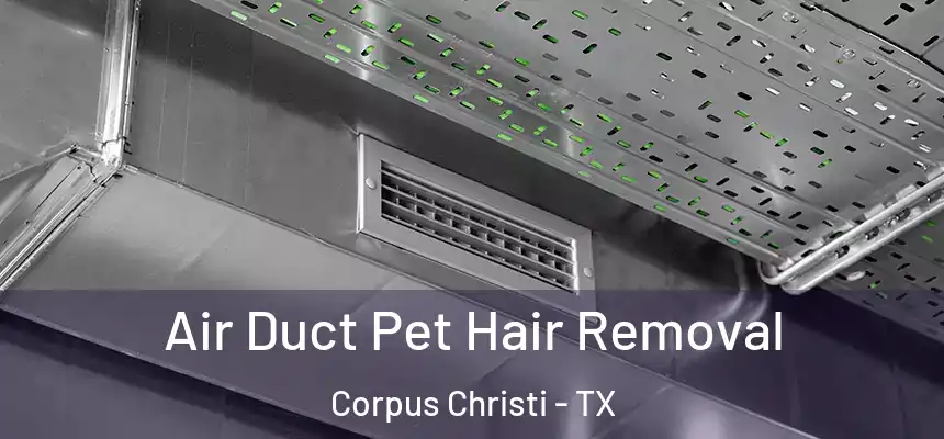 Air Duct Pet Hair Removal Corpus Christi - TX