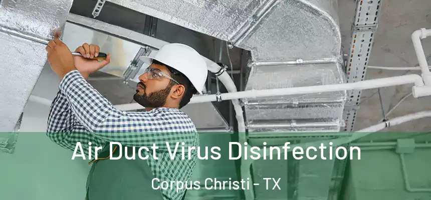 Air Duct Virus Disinfection Corpus Christi - TX