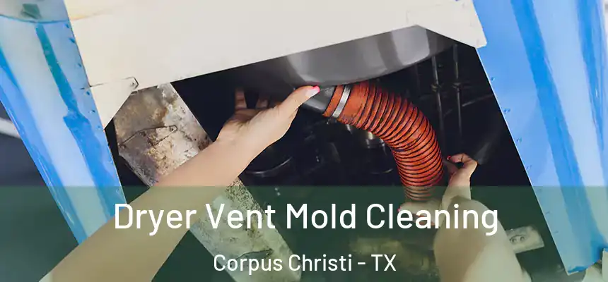 Dryer Vent Mold Cleaning Corpus Christi - TX