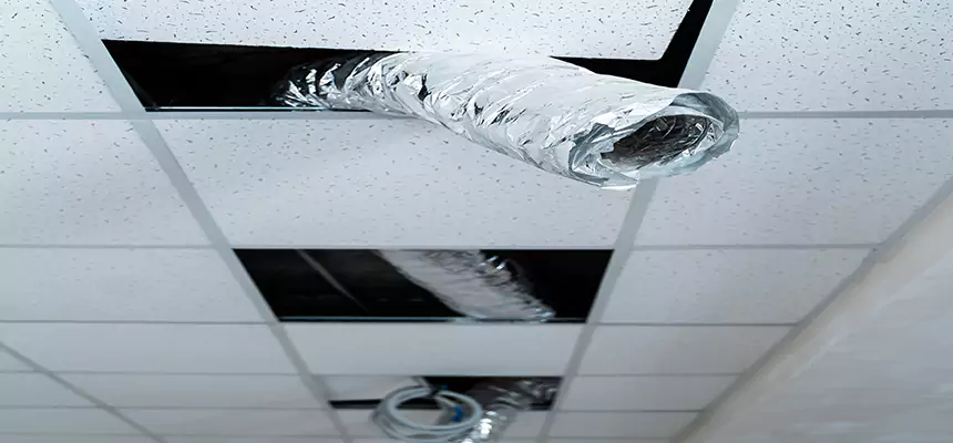 Affordable HVAC Sanitizing After Pest Removal in Corpus Christi