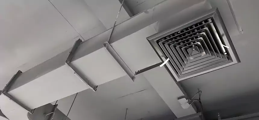 Restorative Allergy Relief Vent Cleaning – Coil, Blower & Housing Detail in Corpus Christi