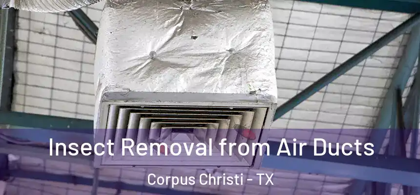Insect Removal from Air Ducts Corpus Christi - TX