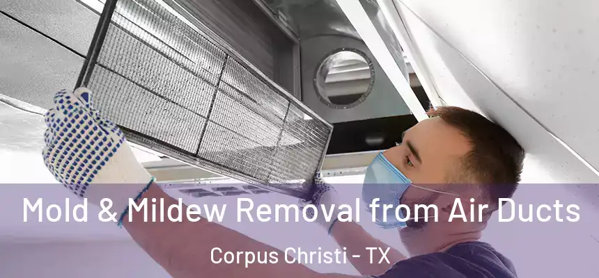 Mold & Mildew Removal from Air Ducts Corpus Christi - TX