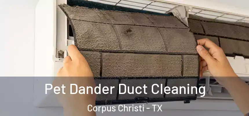 Pet Dander Duct Cleaning Corpus Christi - TX