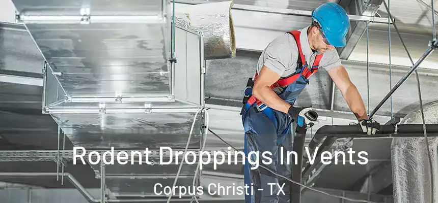 Rodent Droppings In Vents Corpus Christi - TX