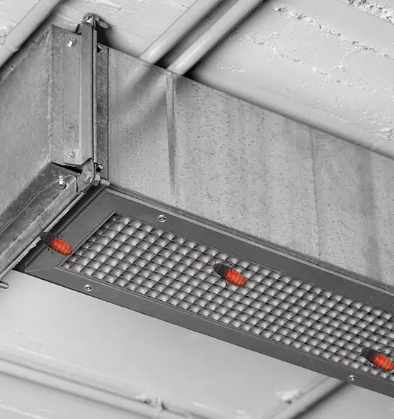 About Air Duct Cockroach Removal in Corpus Christi, TX