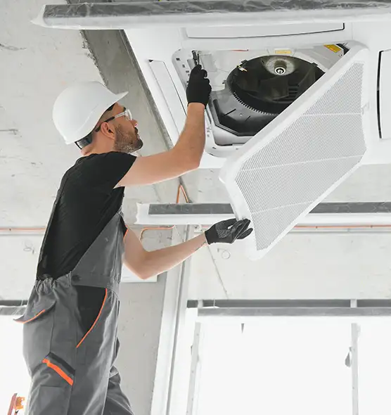 About Air Duct Rodent Removal in Corpus Christi, TX