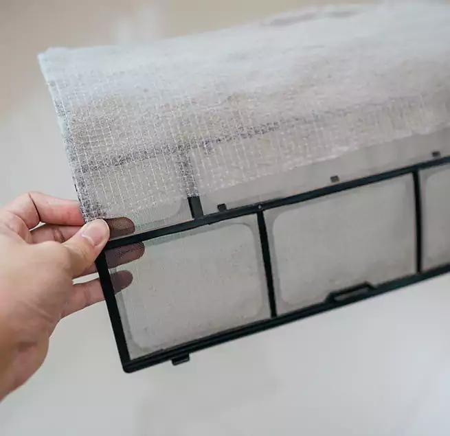 Why Homeowners & Businesses Trust Us in Corpus Christi, TX?